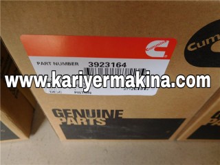 CUMMİNS MOTOR PİSTONU 3923164, CUMMİNS YEDEK PARÇA